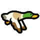 Flying duck