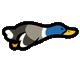 Flying duck