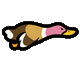 Flying duck