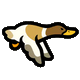Flying duck